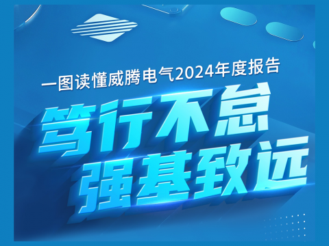 一图读懂欧博abg官方网站2024年度报告